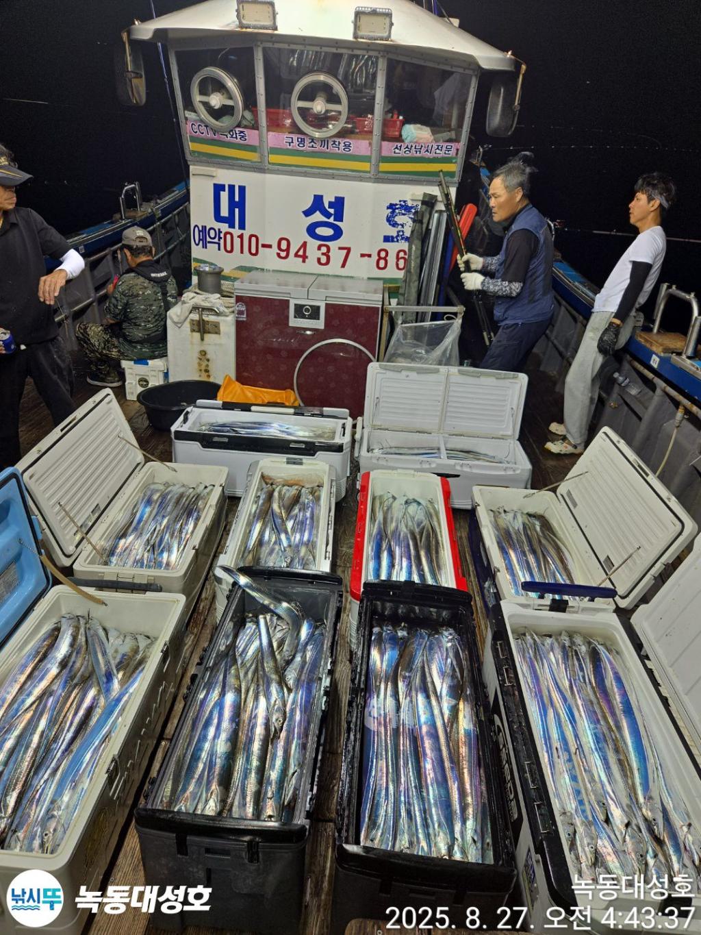 낚시뚜,갈치,녹동항,녹동대성호,낚시뚜0