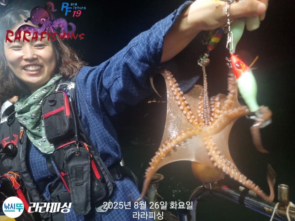 낚시뚜,돌문어,속천항(진해),라라피싱,낚시뚜14