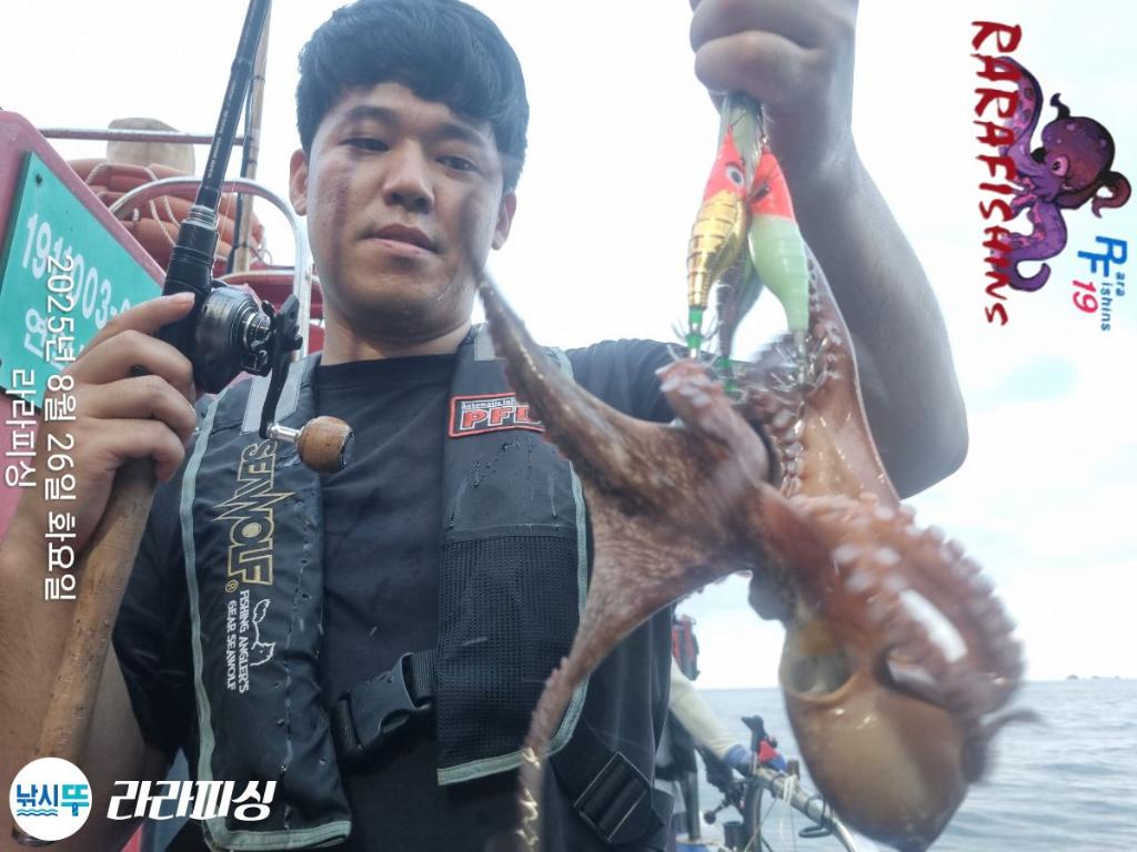 낚시뚜,돌문어,속천항(진해),라라피싱,낚시뚜10