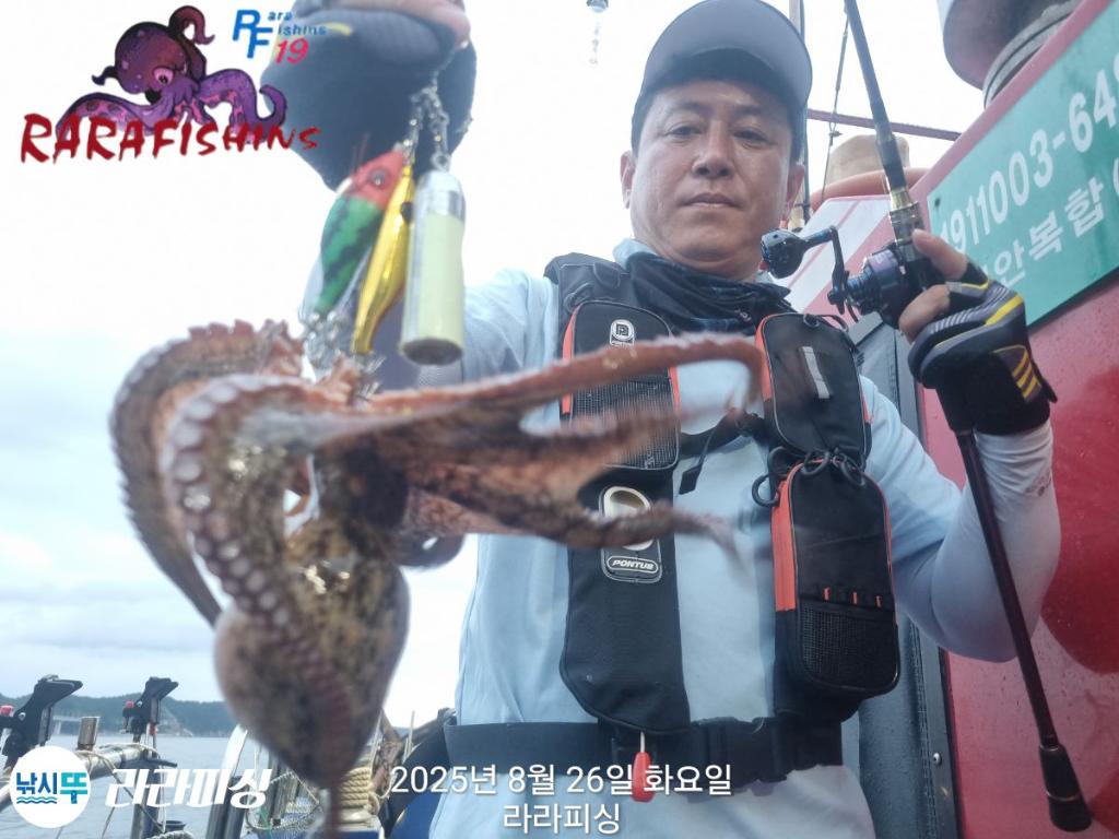 낚시뚜,돌문어,속천항(진해),라라피싱,낚시뚜9