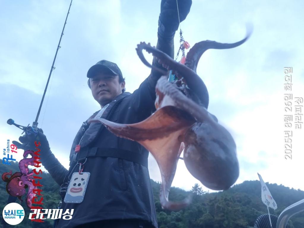 낚시뚜,돌문어,속천항(진해),라라피싱,낚시뚜5