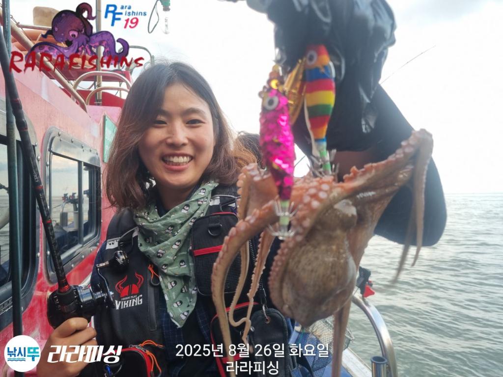 낚시뚜,돌문어,속천항(진해),라라피싱,낚시뚜4