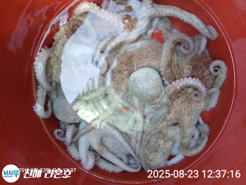 F2762911GZ.jpg