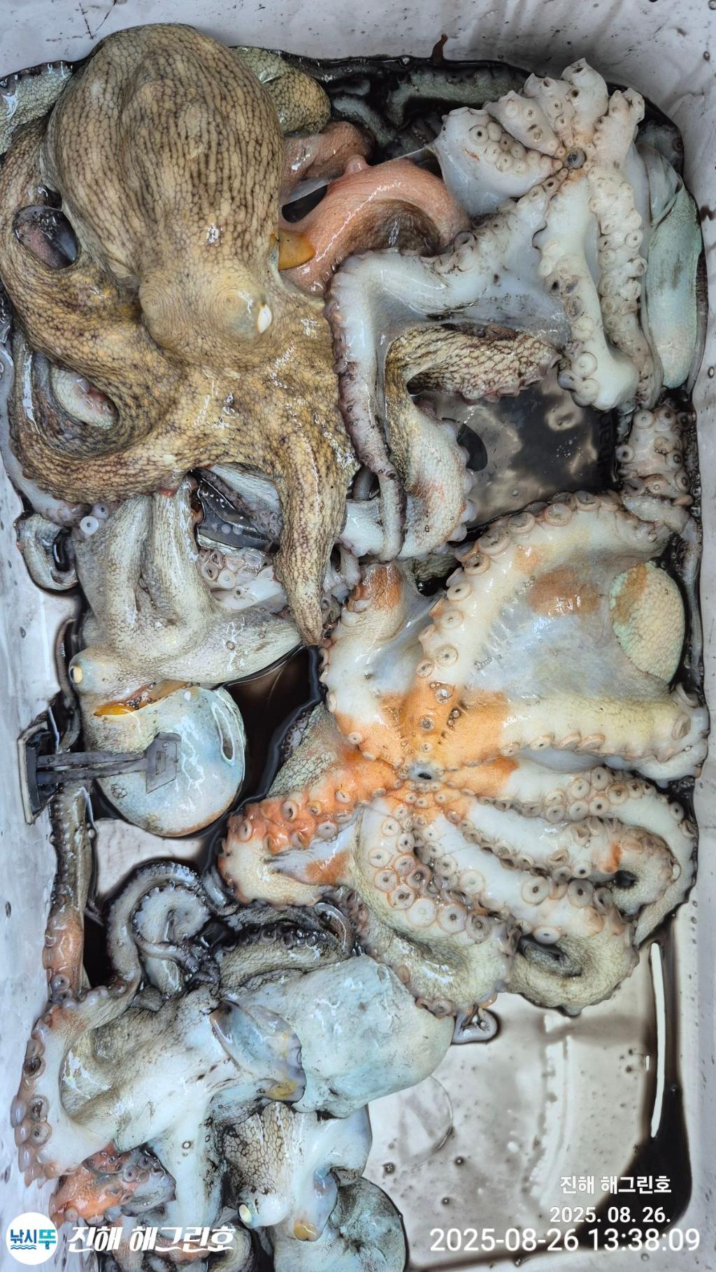 F2763002ZM.jpg