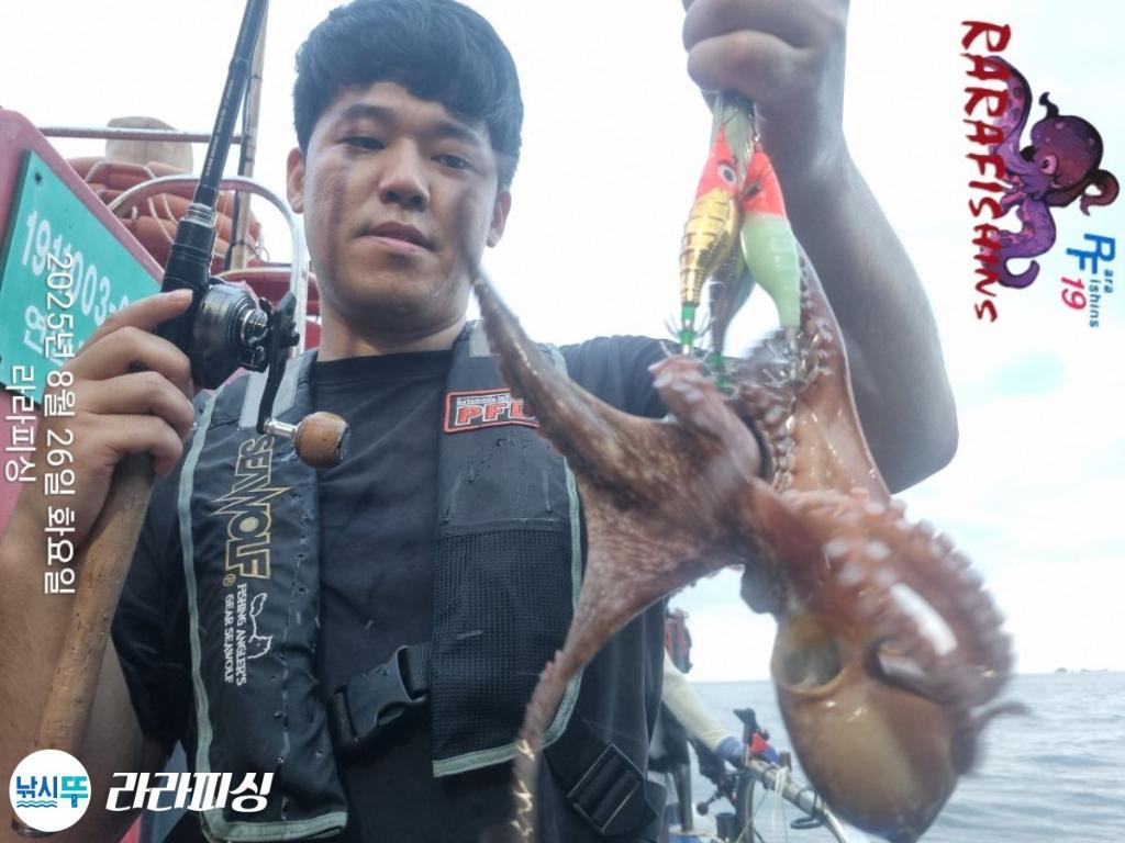 낚시뚜,돌문어,속천항(진해),라라피싱,낚시뚜9