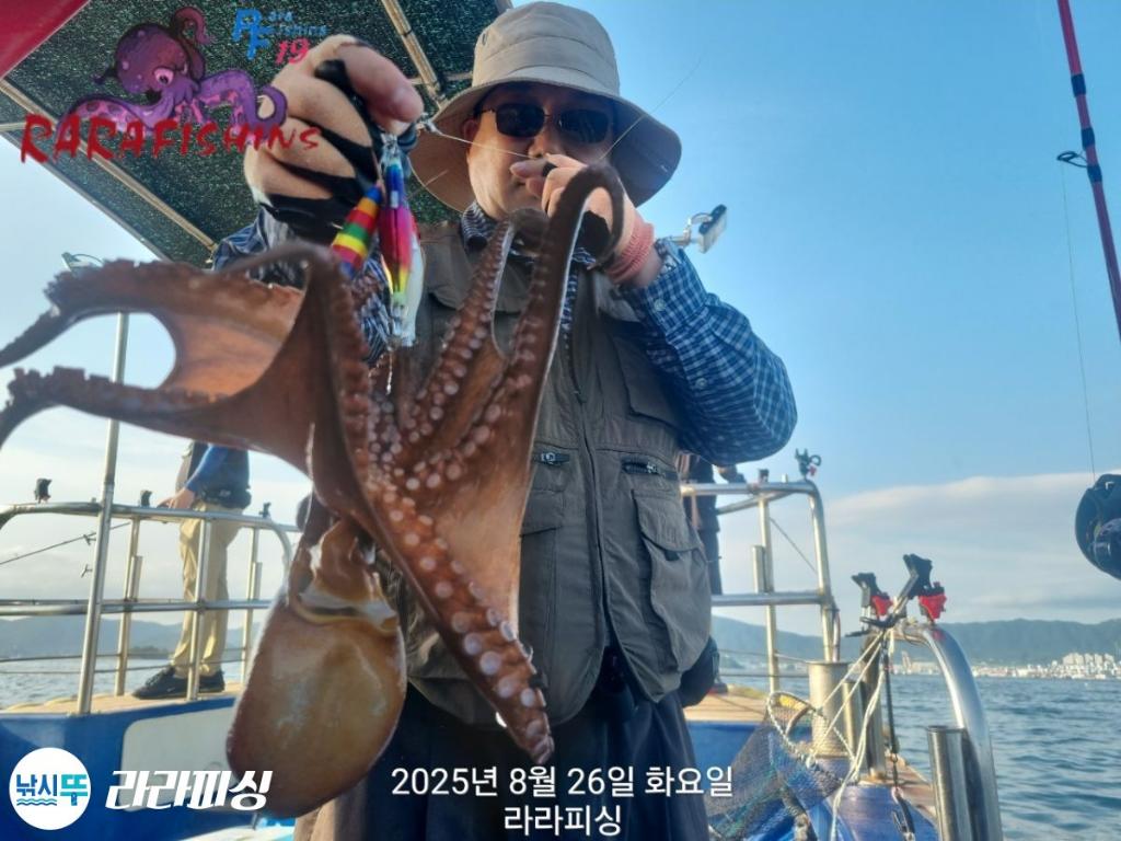 낚시뚜,돌문어,속천항(진해),라라피싱,낚시뚜8