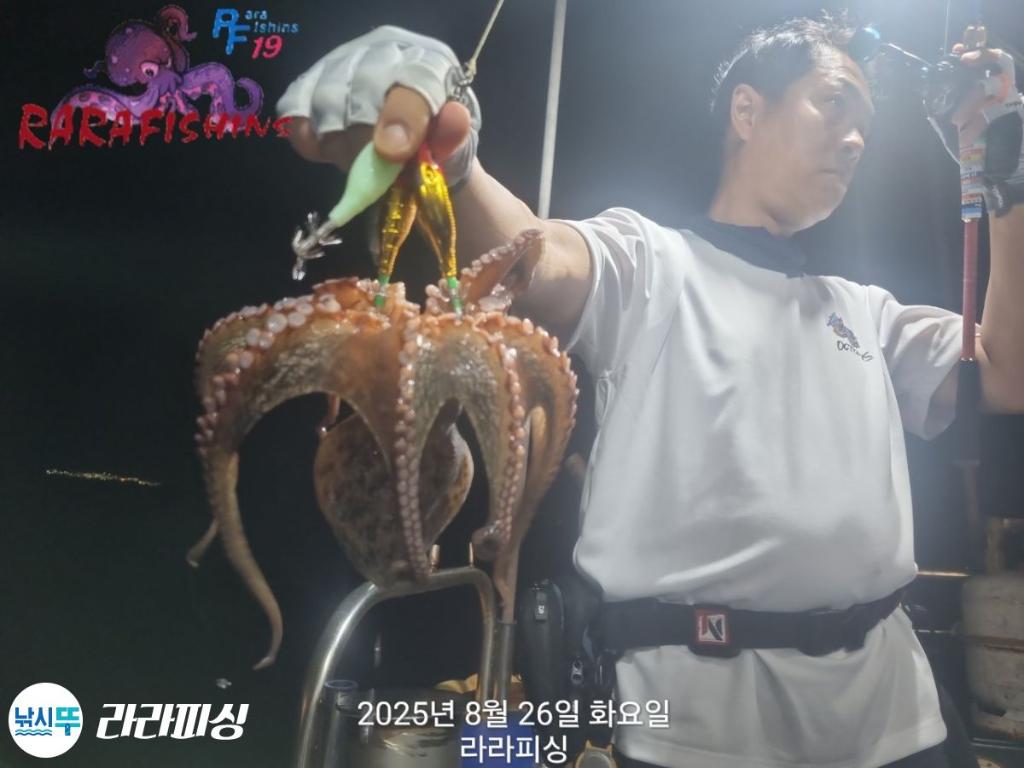 낚시뚜,돌문어,속천항(진해),라라피싱,낚시뚜7