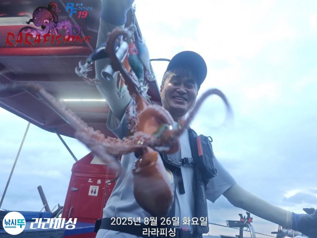 낚시뚜,돌문어,속천항(진해),라라피싱,낚시뚜5