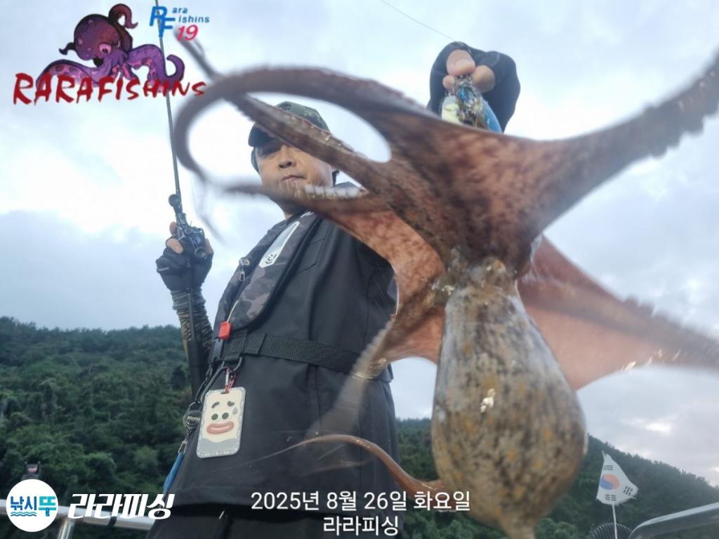낚시뚜,돌문어,속천항(진해),라라피싱,낚시뚜4