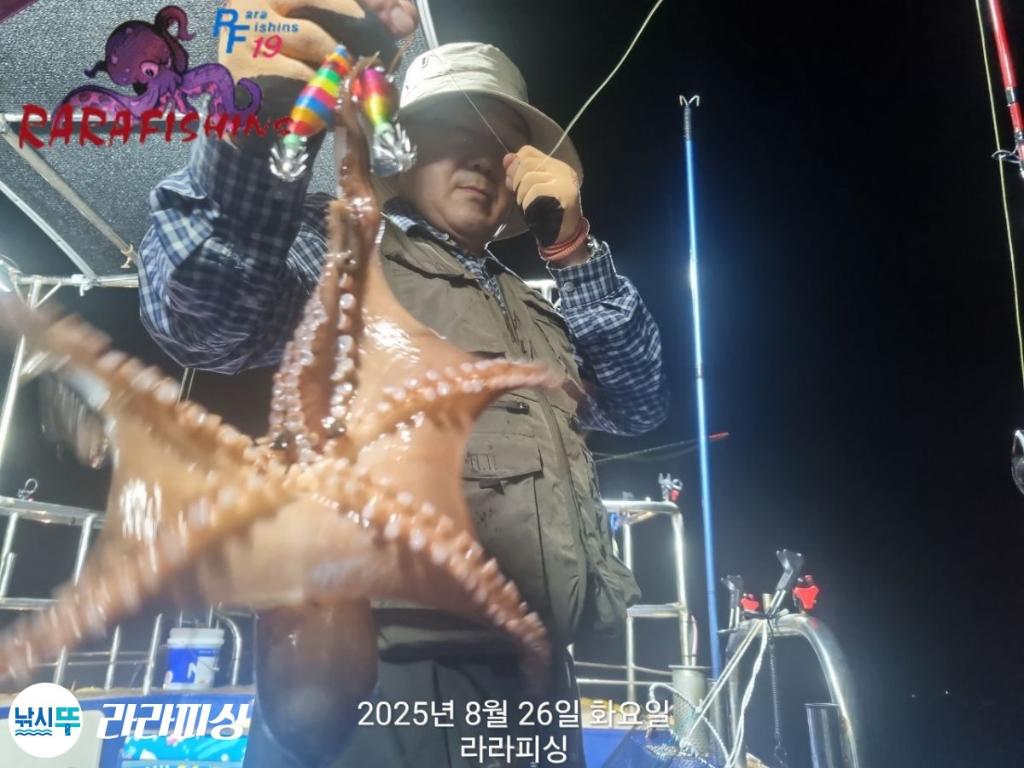 낚시뚜,돌문어,속천항(진해),라라피싱,낚시뚜3