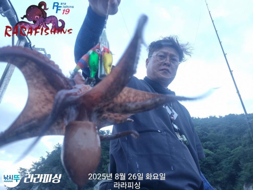 낚시뚜,돌문어,속천항(진해),라라피싱,낚시뚜2