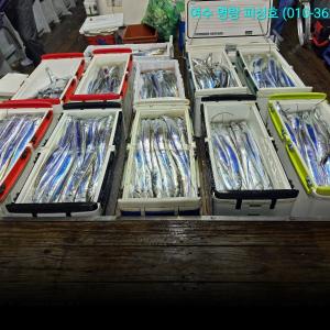 조황, 14석 얼음녹혀서 만쿨러로 철수했습니다 