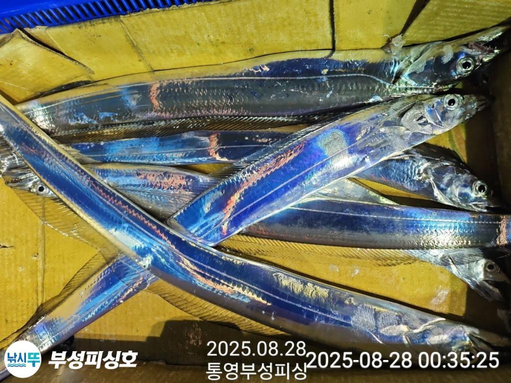 F2763242JJ.jpg