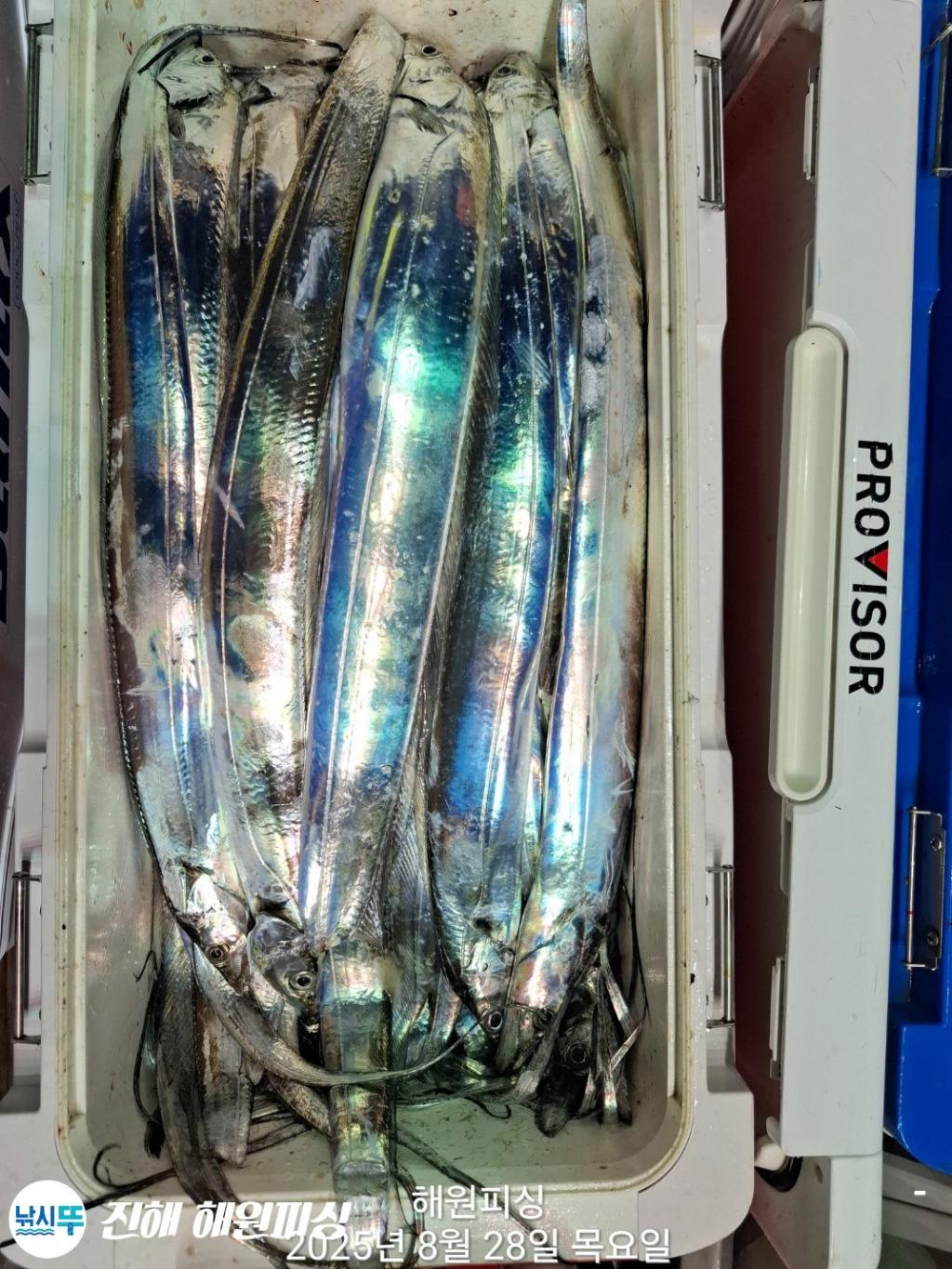 F2763269B8.jpg