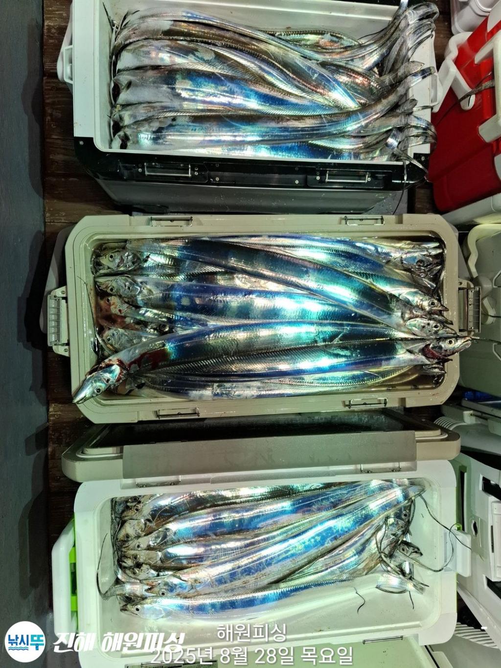 F2763283D6.jpg
