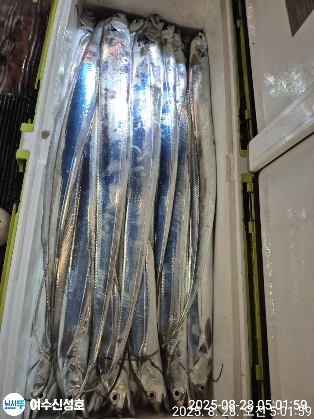 F2763321IN.jpg
