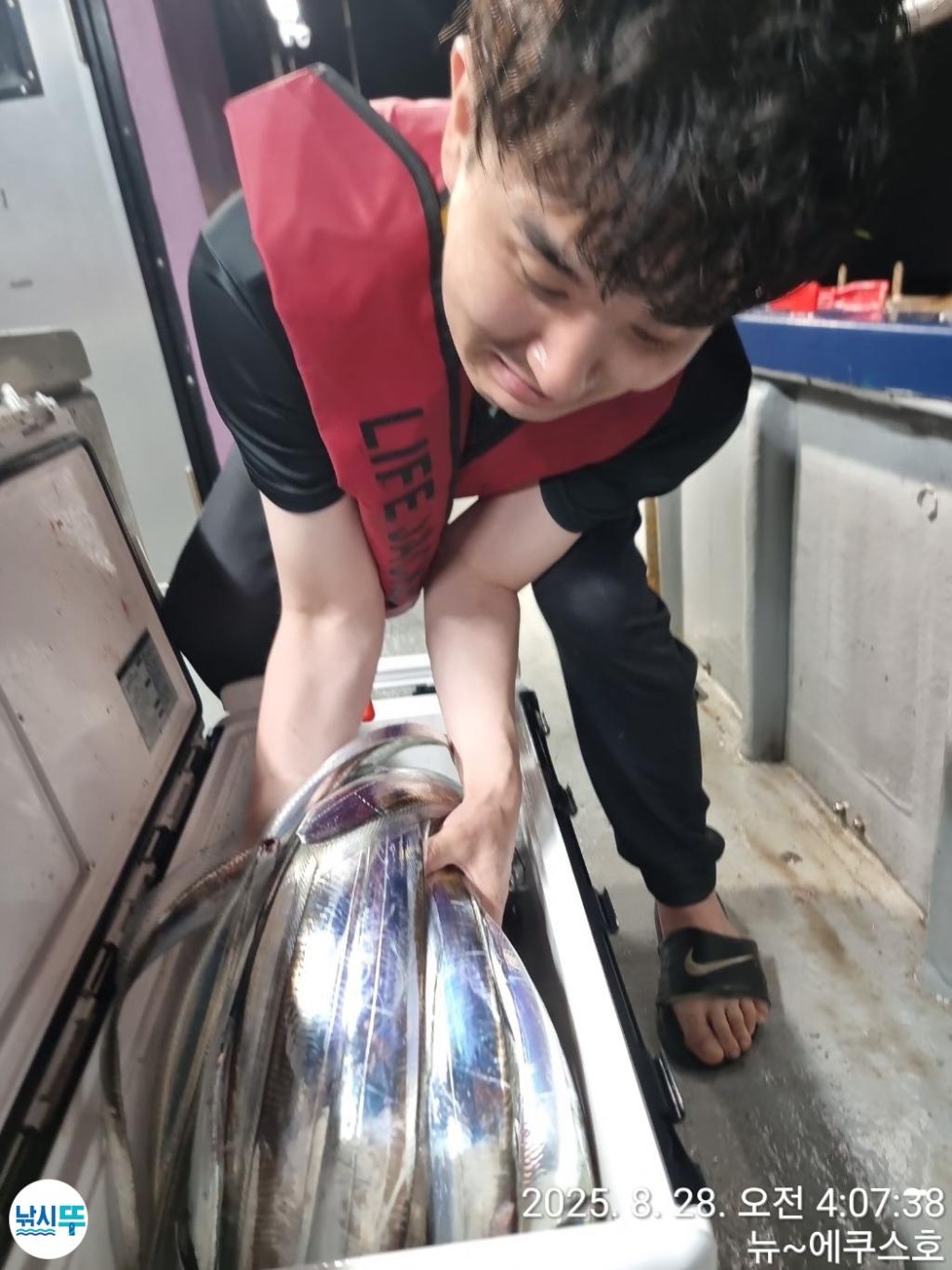 낚시뚜,갈치,진해 안골항,진해 안골뉴에쿠스~호,낚시뚜18