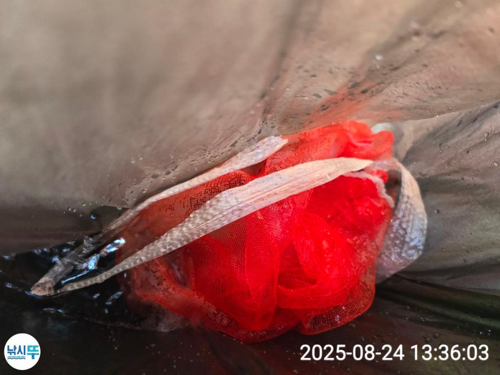 F2763623JZ.jpg