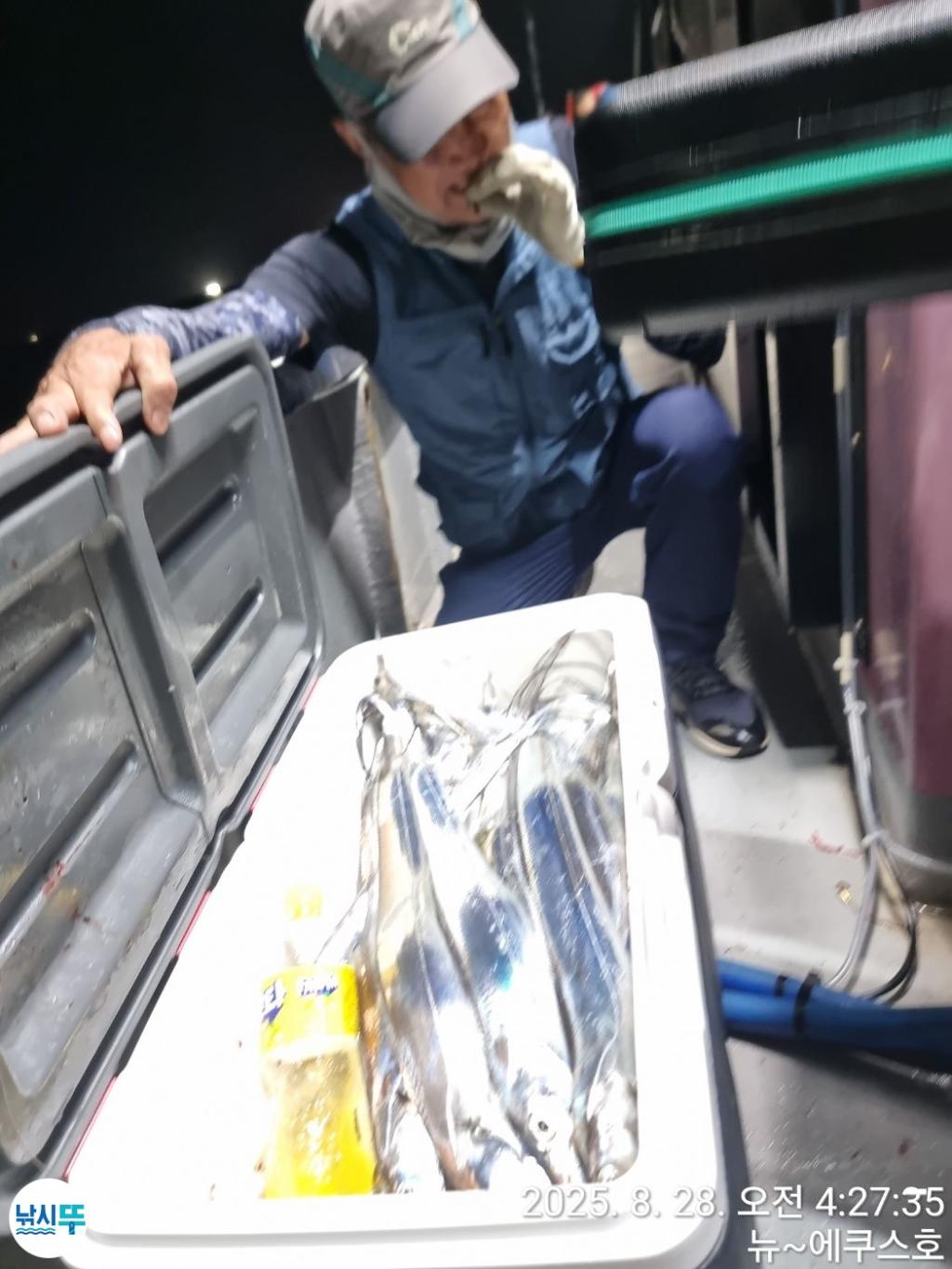 낚시뚜,갈치,진해 안골항,진해안골에쿠스호,낚시뚜17