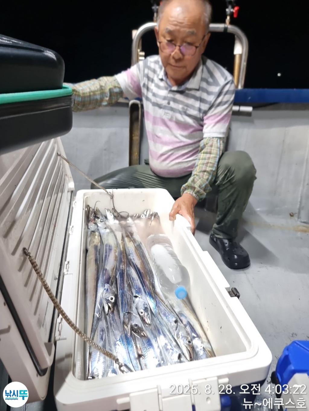 낚시뚜,갈치,진해 안골항,진해안골에쿠스호,낚시뚜9