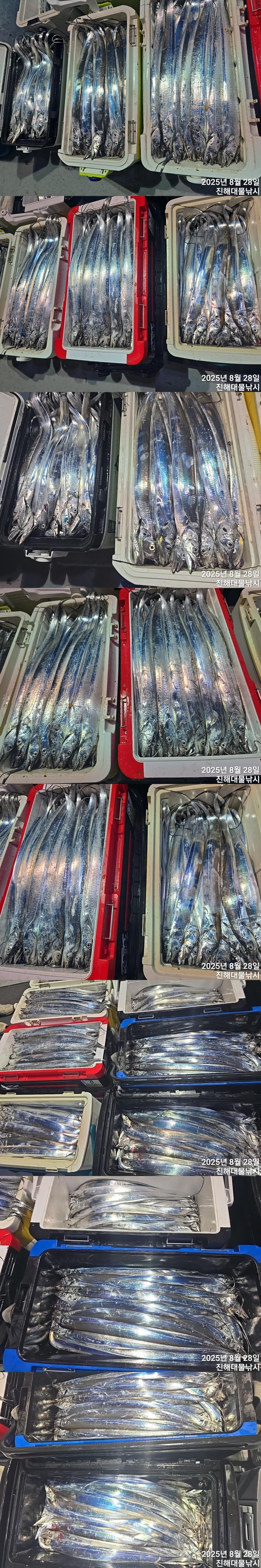 F276373475.jpg