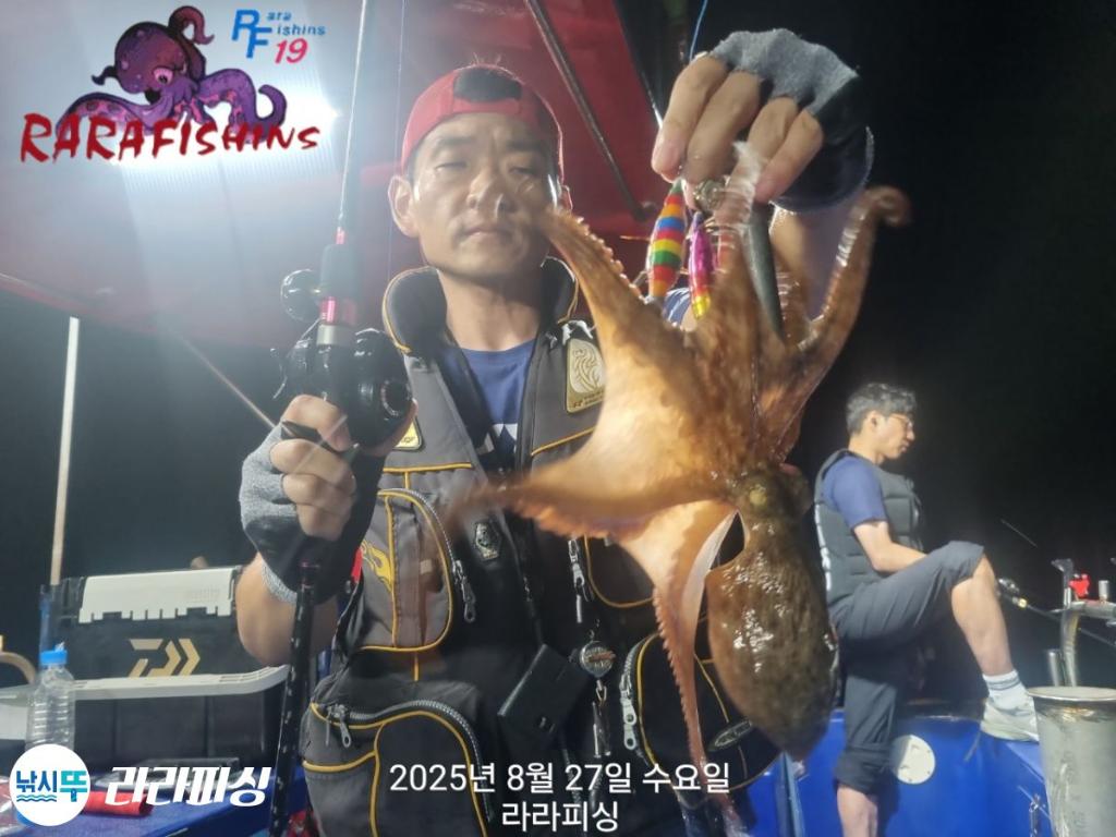 낚시뚜,돌문어,속천항(진해),라라피싱,낚시뚜5