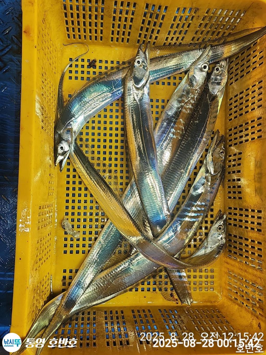 F276398876.jpg