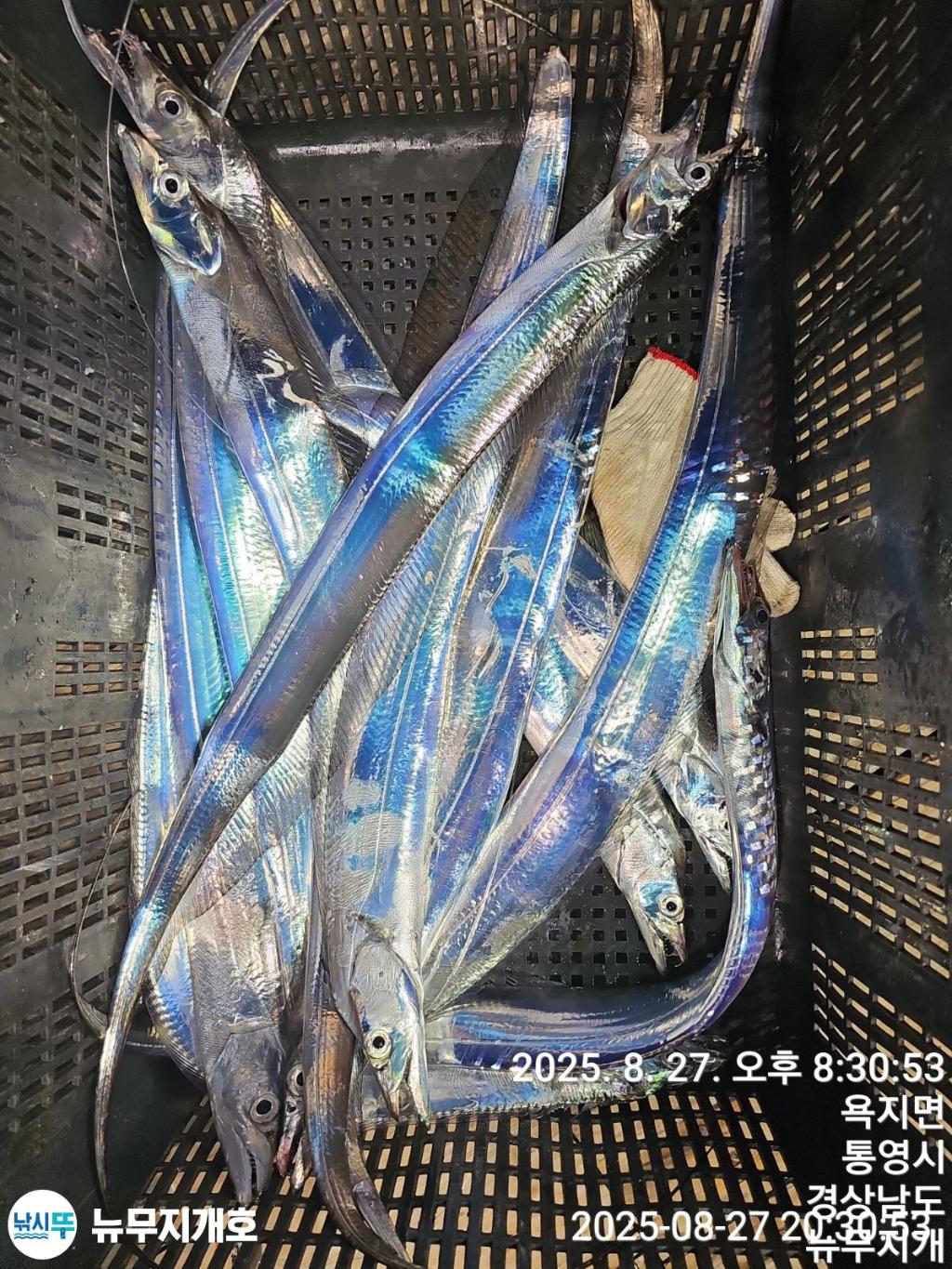 F2764147N0.jpg