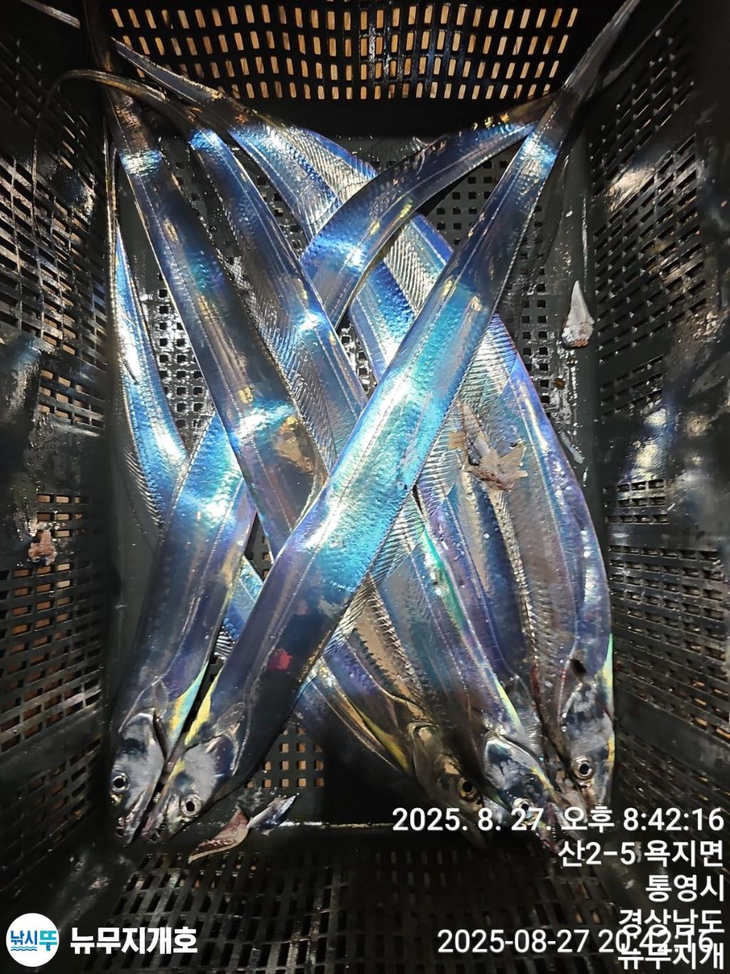 F27641500T.jpg