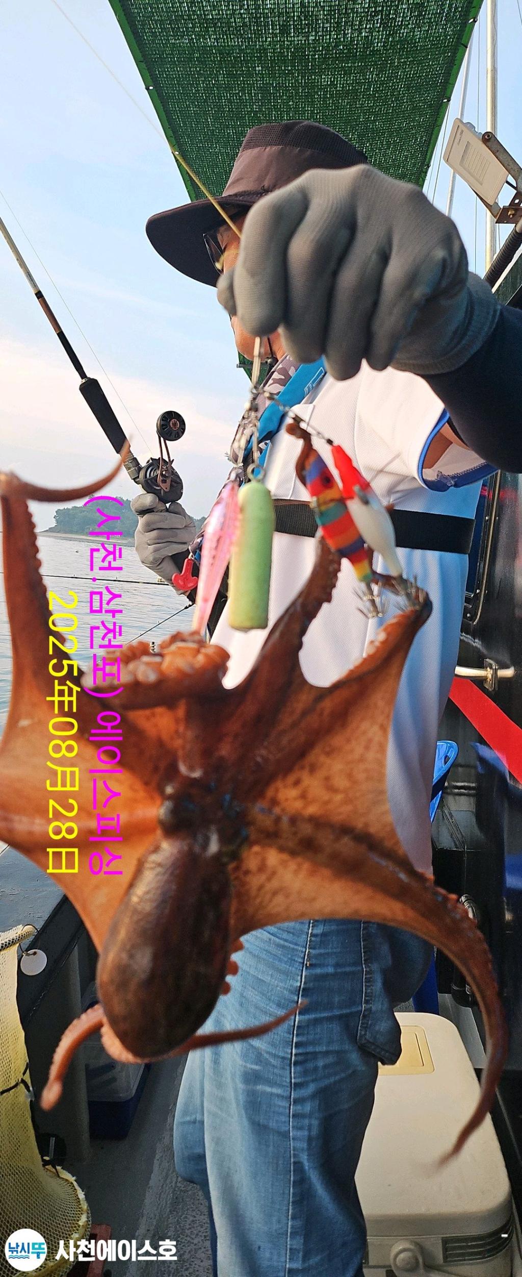 F2764166LK.jpg