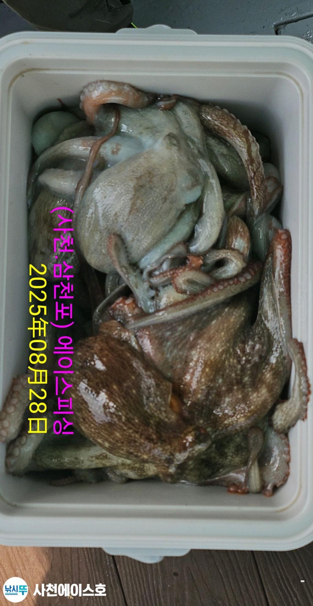 F2764171W8.jpg