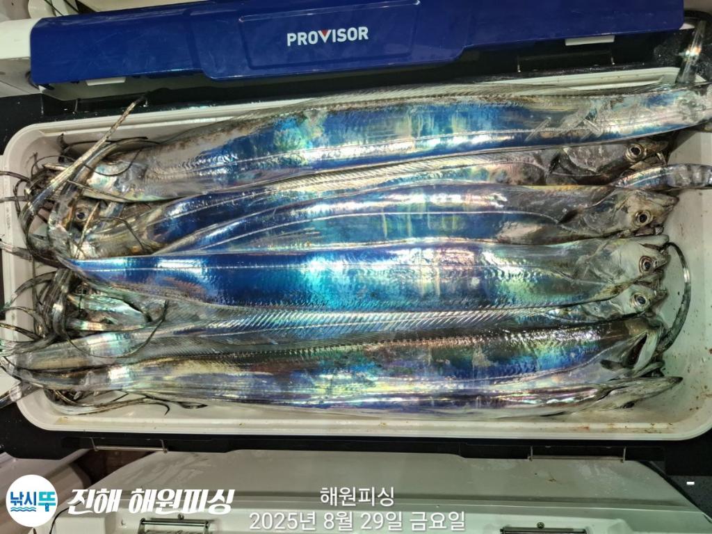 F2764323CY.jpg