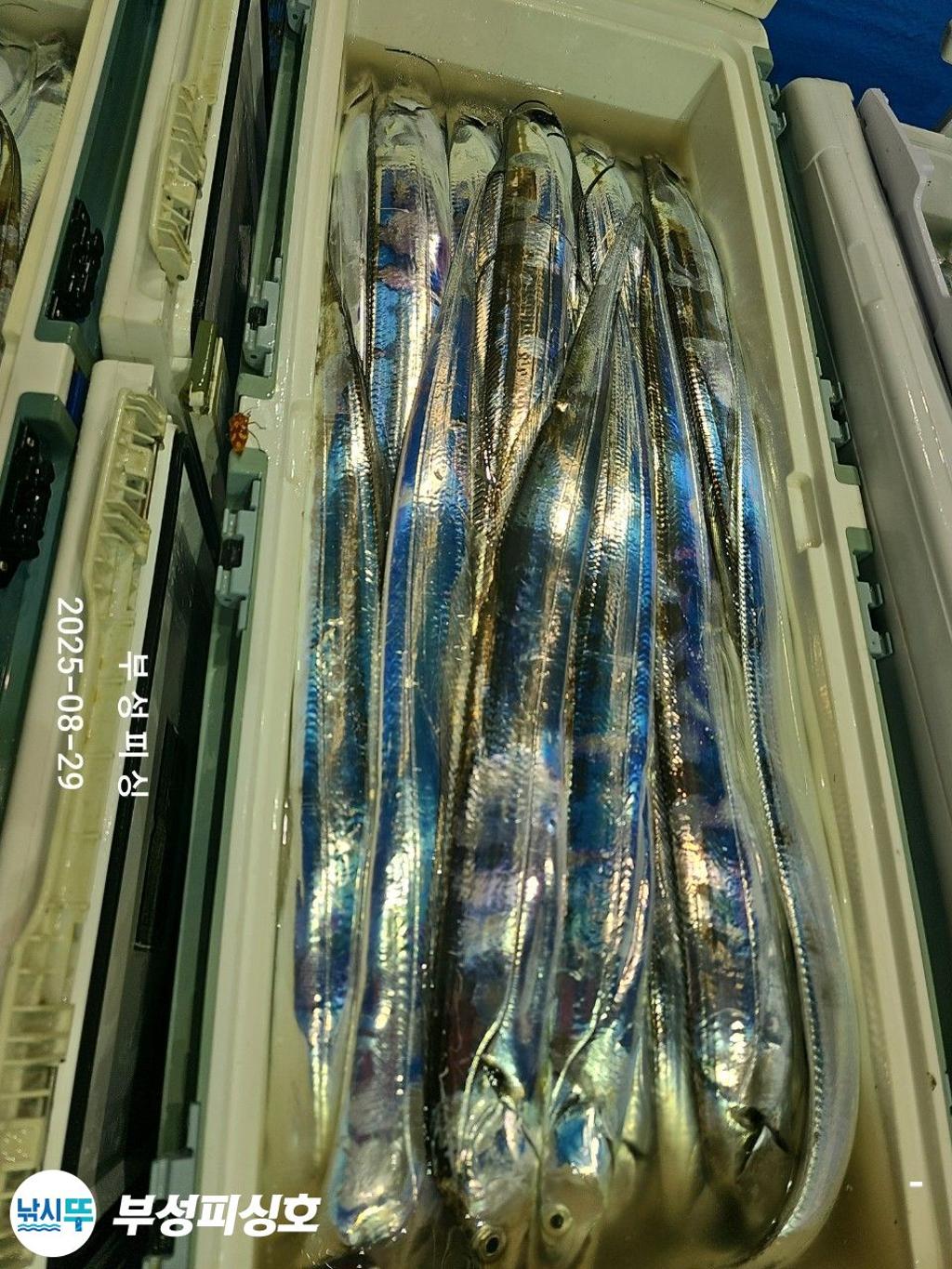 F276438537.jpg