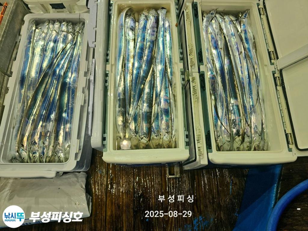 F276438885.jpg
