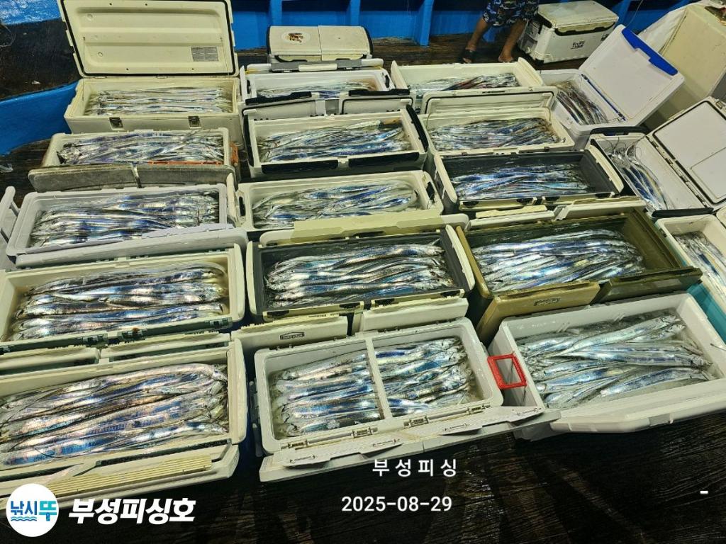 F2764393JU.jpg