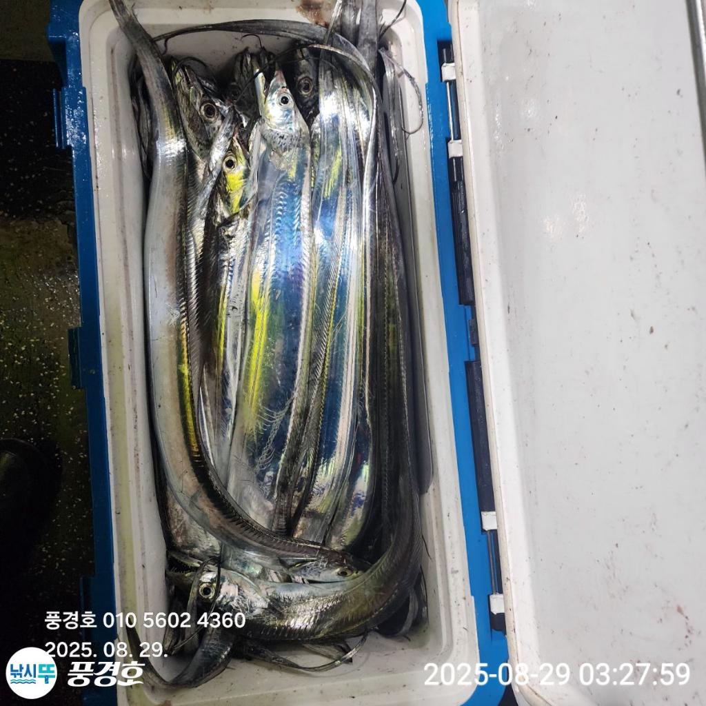 F2764433DH.jpg