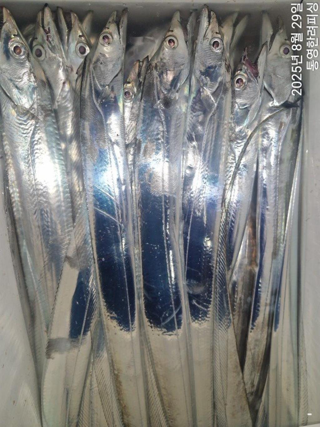F276453794.jpg