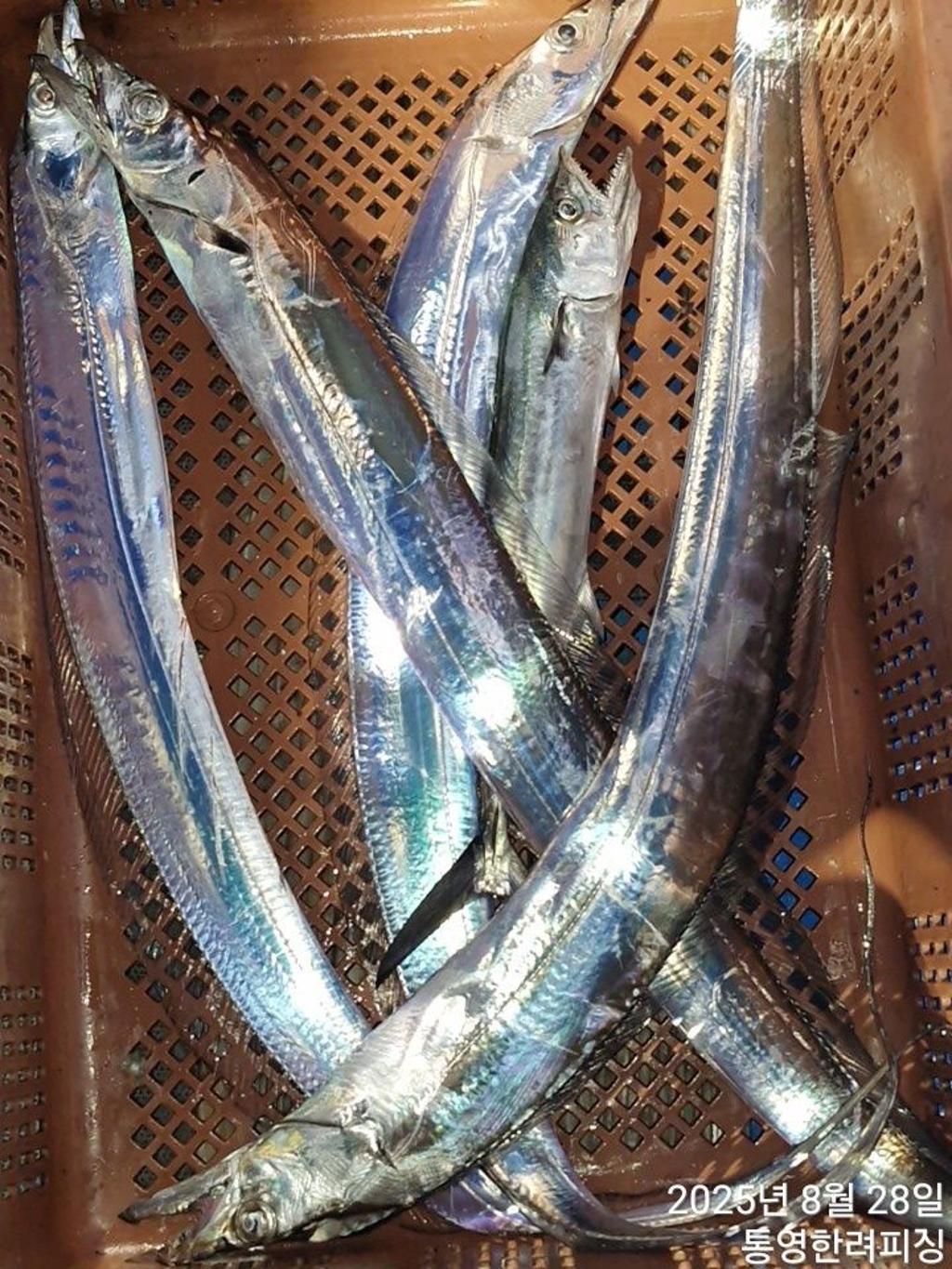 F2764544MN.jpg