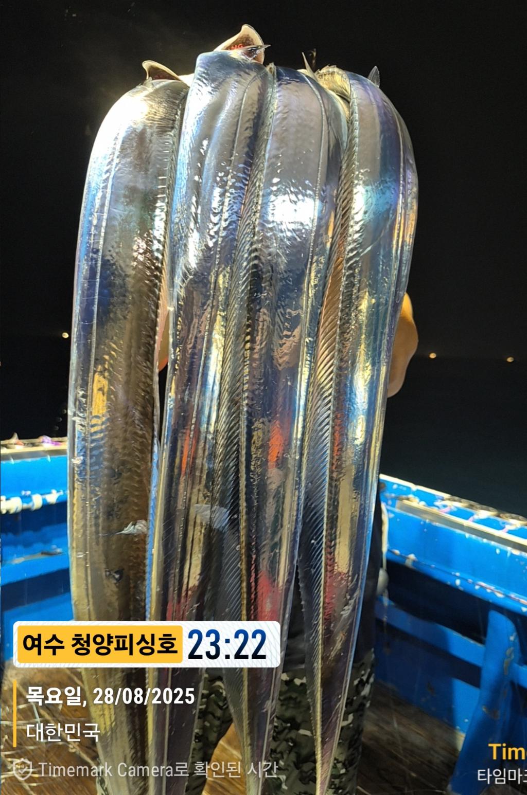 F2764583YP.jpg