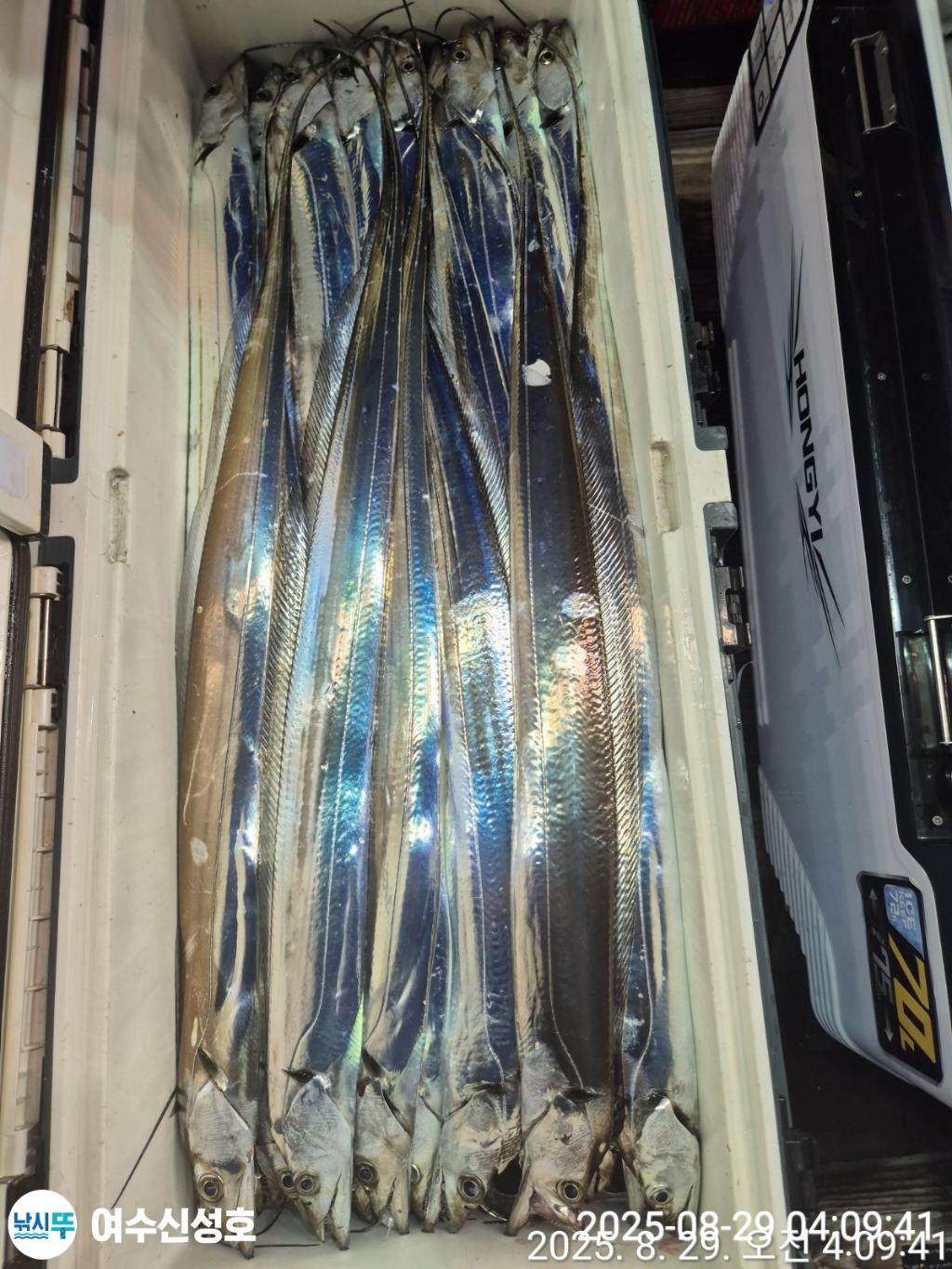 F2764671ZX.jpg