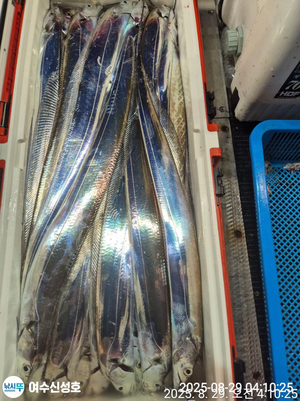 F276467211.jpg