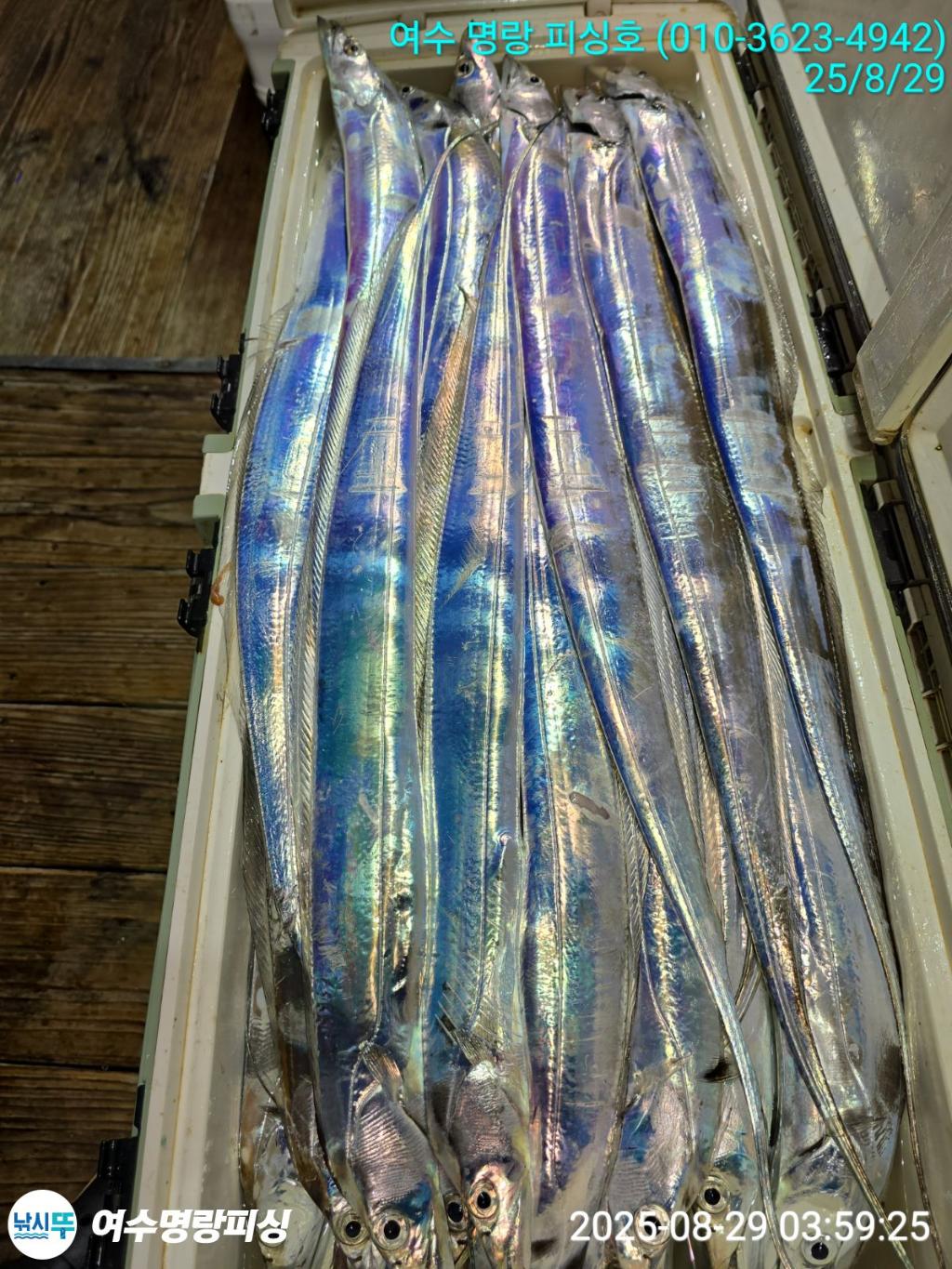 F2765005DP.jpg