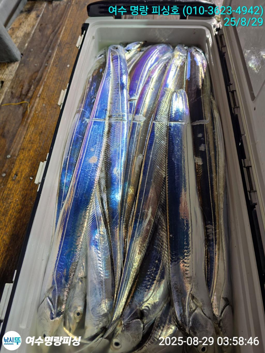 F27650070C.jpg