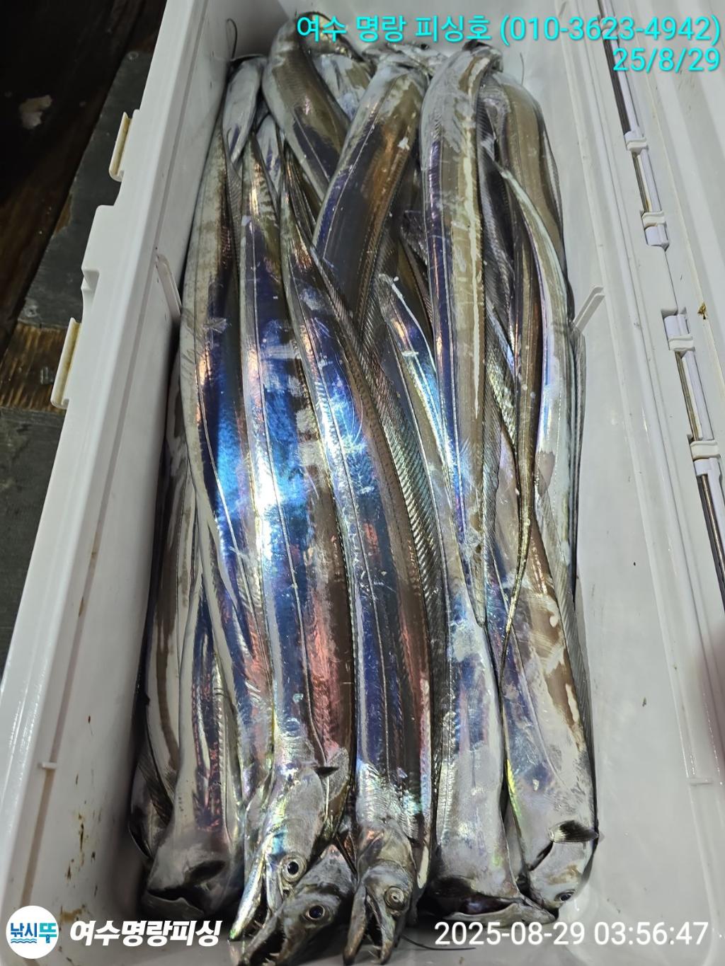 F2765010H5.jpg