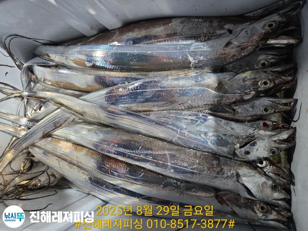 F2765067MC.jpg