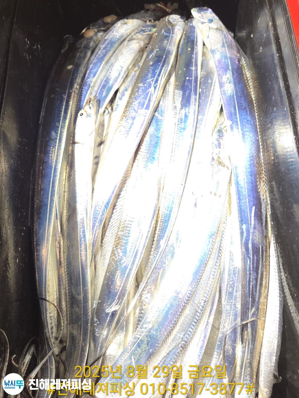 F2765069RI.jpg