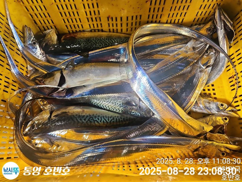 F2765111UA.jpg