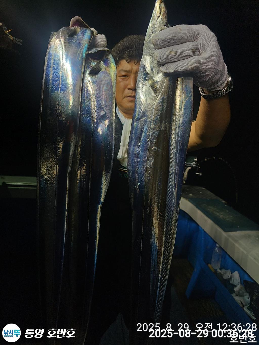 F2765140V5.jpg