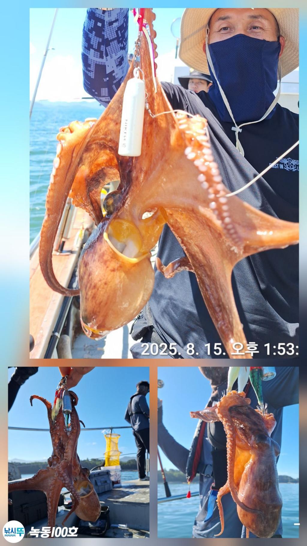 F276522652.jpg