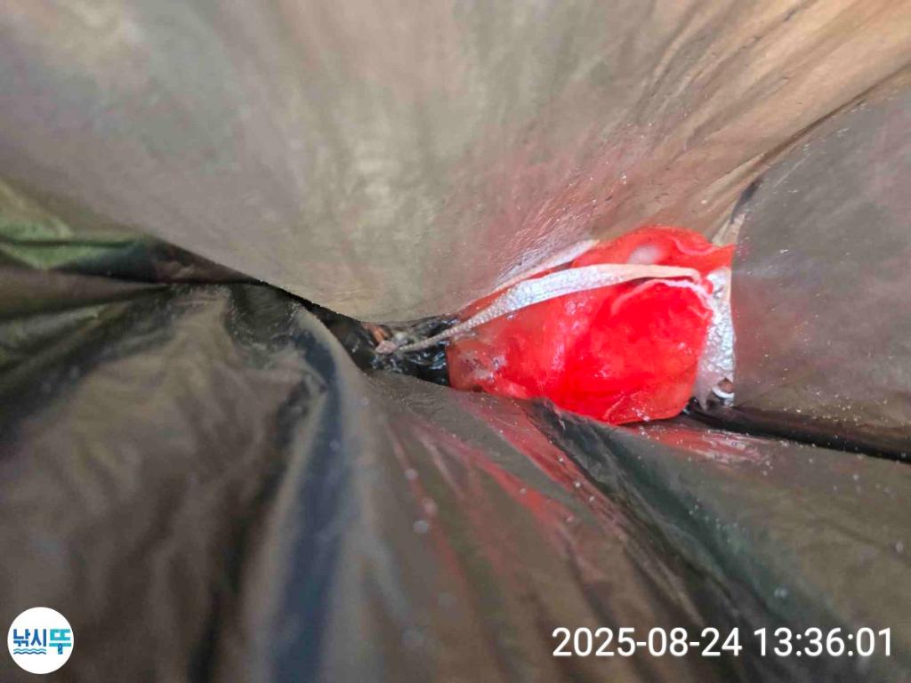 F2765380UM.jpg